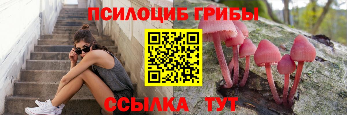Галлюциногенные грибы прущие грибы Сургут